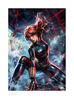 Black Widow - Black Widow Fine Art Print by Ian MacDonald