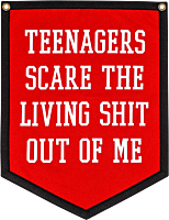 My Chemical Romance - Teenagers Scare the Living Shit Out of Me Wool Felt Camp Flag (18" x 24")