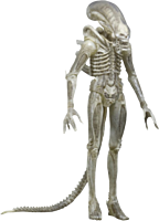 Translucent Prototype Alien 1/4 Scale Action Figure