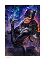 Batman - Catwoman #21 Fine Art Print by Ian MacDonald