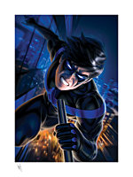 Batman - Nightwing Fine Art Print by Warren Louw